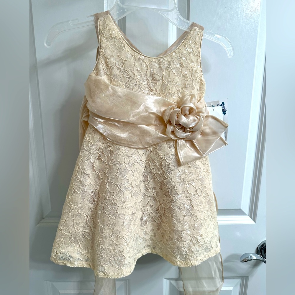Size 2t fancy dress